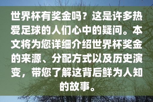 世界杯有奖金吗？这是许多热爱足球的人们心中的疑问。本文将为您详细介绍世界杯奖金的来源、分配方式以及历史演变，带您了解这背后鲜为人知的故事。