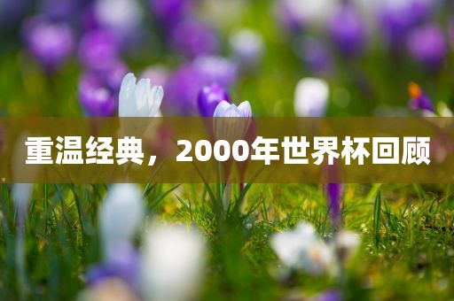 重温经典，2000年世界杯回顾