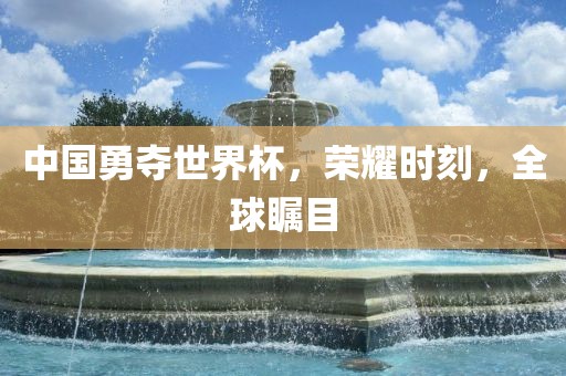 中国勇夺世界杯，荣耀时刻，全球瞩目漯河市盈旭机械设备有限公司