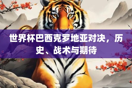 世界杯巴西克罗地亚对决，历史、战术与期待