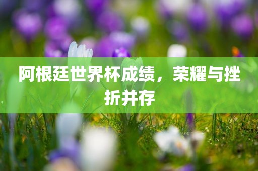 阿根廷世界杯成绩，荣耀与挫折并存