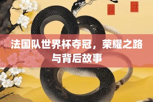 法国队世界杯夺冠，荣耀之路与背后故事