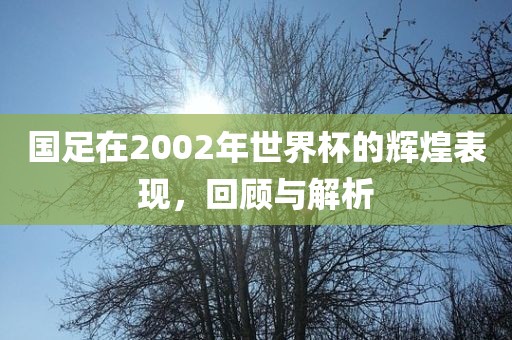 国足在2002年世界杯的辉煌表现，回顾与解析