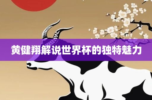 黄健翔解说世界杯的独特魅力