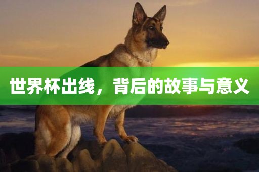 世界杯出线，背后的故事与意义漯河市盈旭机械设备有限公司