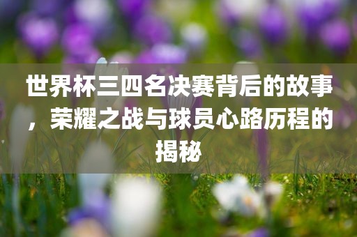 世界杯三四名决赛背后的故事，荣耀之战与球员心路历程的揭秘