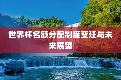 世界杯名额分配制度变迁与未来展望漯河市盈旭机械设备有限公司