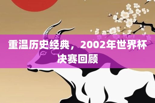 重温历史经典，2002年世界杯决赛回顾