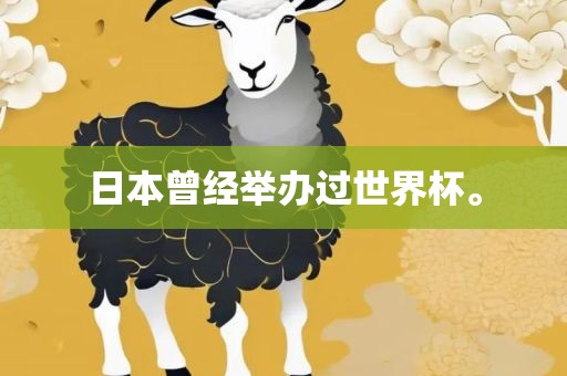 susihan 第11页