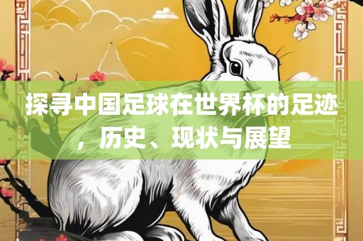 探寻中国足球在世界杯的足迹，历史、现状与展望