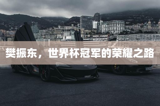 樊振东，世界杯冠军的荣耀之路