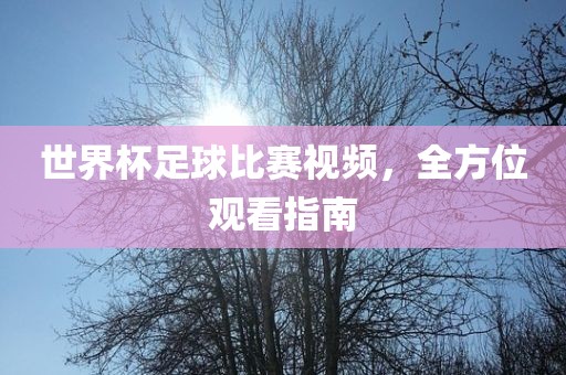 世界杯足球比赛视频，全方位观看指南