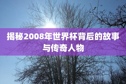 漯河市盈旭机械设备有限公司揭秘2008年世界杯背后的故事与传奇人物