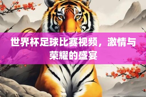 世界杯足球比赛视频，激情与荣耀的盛宴