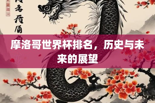 摩洛哥世界杯排名，历史与未来的展望