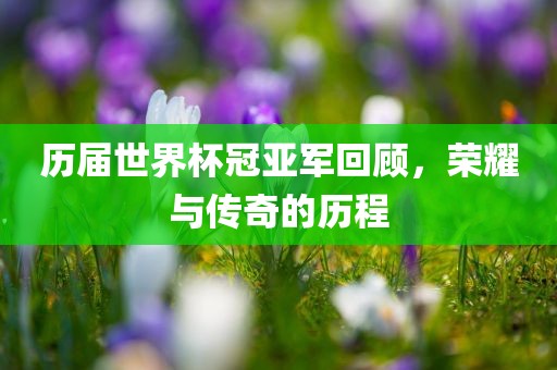 历届世界杯冠亚军回顾，荣耀与传奇的历程