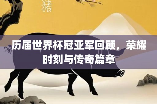 历届世界杯冠亚军回顾，荣耀时刻与传奇篇章