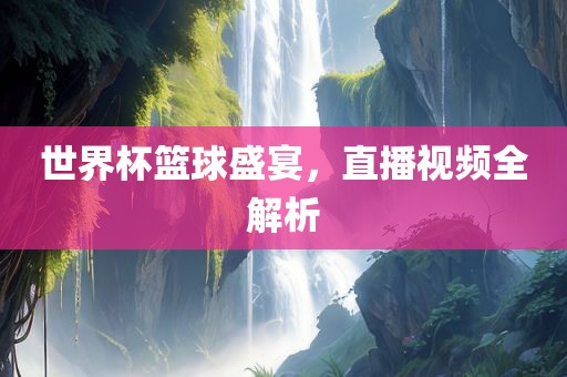 世界杯篮球盛宴
