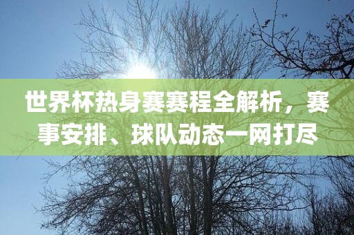 世界杯热身赛赛程全解析，赛事安排、球队动态一网打尽