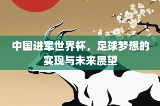 中国进军世界杯，足球梦想的实现与未来展望