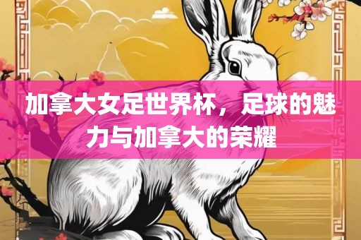 加拿大女足世界杯，足球的魅力与加拿大的荣耀