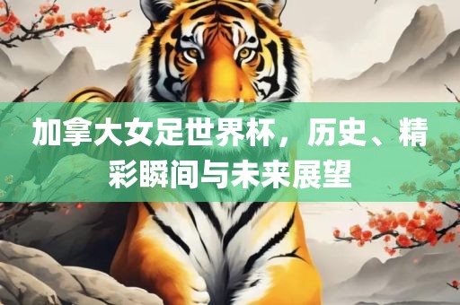 加拿大女足世界杯，历史、精彩瞬间与未来展望