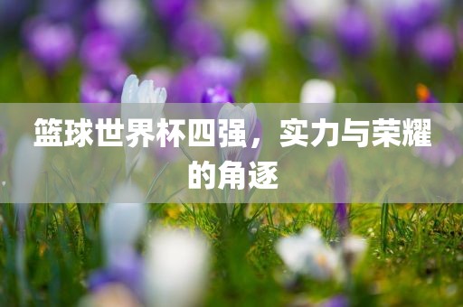 篮球世界杯四强，实力与荣耀的角逐