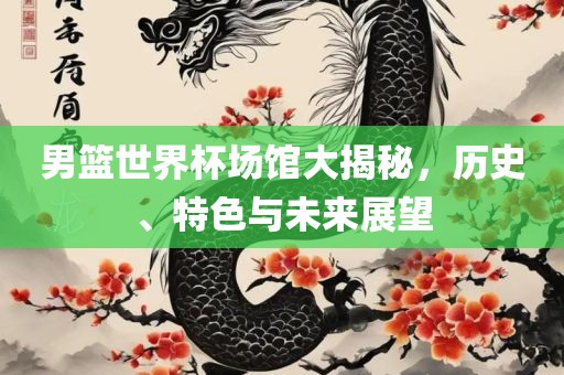男篮世界杯场馆大揭秘，历史、特色与未来展望