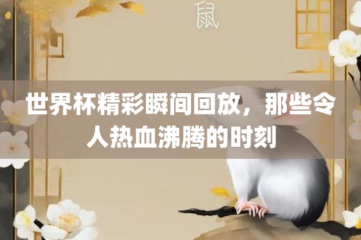 世界杯精彩瞬间回放，那些令人热血沸腾的时刻漯河市盈旭机械设备有限公司