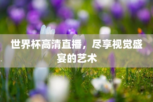 世界杯高清直播，尽享视觉盛宴的艺术