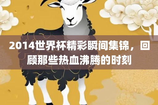 2014世界杯精彩瞬间集锦，回顾那些热血沸腾的时刻漯河市盈旭机械设备有限公司