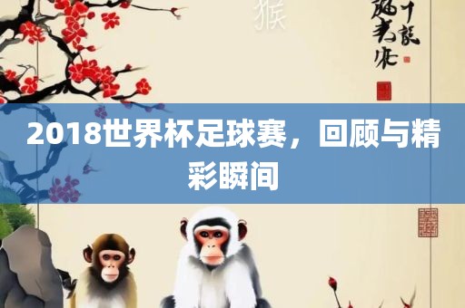 2018世界杯足球赛，回顾与精彩瞬间