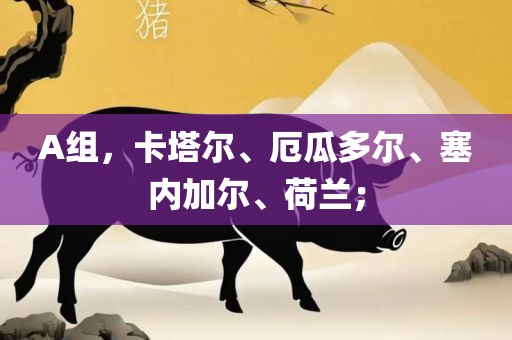 A组，卡塔尔、厄瓜多尔、塞内加尔、荷兰；
