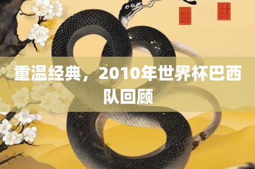 重温经典，2010年世界杯巴西队回顾漯河市盈旭机械设备有限公司