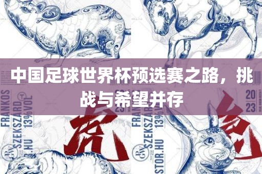 中国足球世界杯预选赛之路，挑战与希望并存