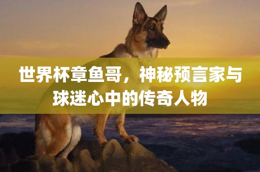 世界杯章鱼哥，神秘预言家与球迷心中的传奇人物漯河市盈旭机械设备有限公司