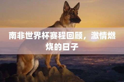 南非世界杯赛程回顾，激情燃烧的日子