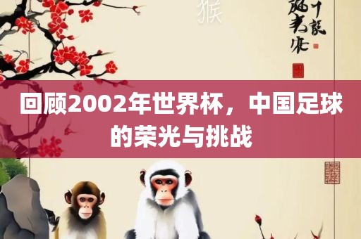 回顾2002年世界杯，中国足球的荣光与挑战