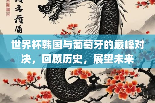 世界杯韩国与葡萄牙的巅峰对决，回顾历史，展望未来