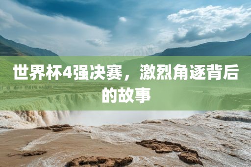 世界杯决赛 第8页