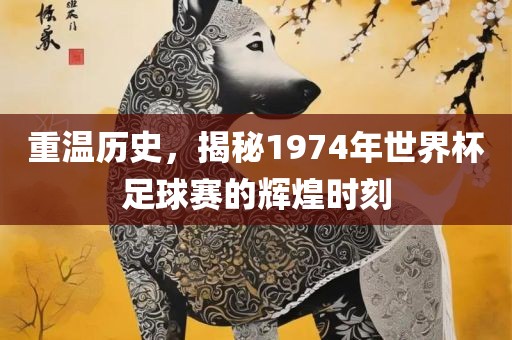 重温历史，揭秘1974年世界杯足球赛的辉煌时刻漯河市盈旭机械设备有限公司