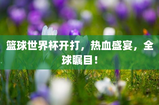 篮球世界杯开打，热血盛宴，全球瞩目！漯河市盈旭机械设备有限公司