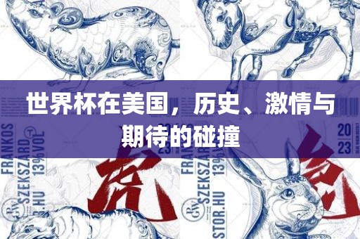 世界杯在美国，历史、激情与期待的碰撞