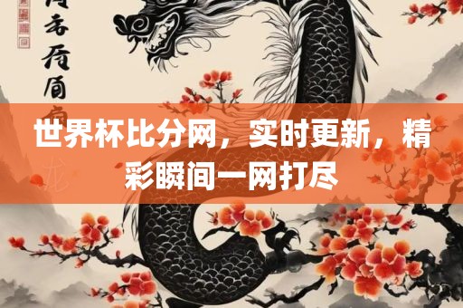 世界杯比分网，实时更新，精彩瞬间一网打尽