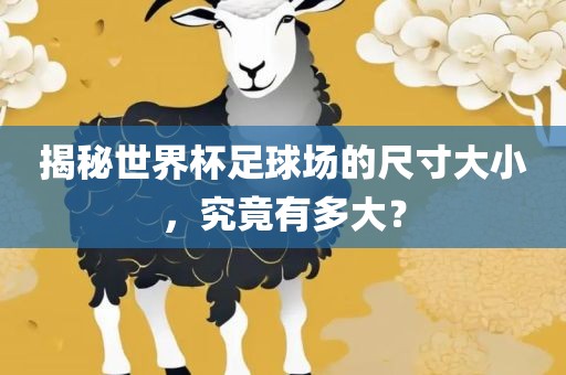 揭秘世界杯足球场的尺寸大小，究竟有多大？
