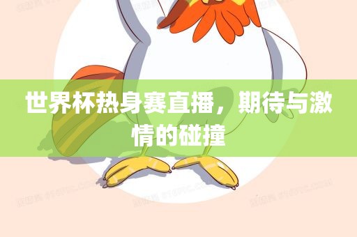 世界杯热身赛直播，期待与激情的碰撞