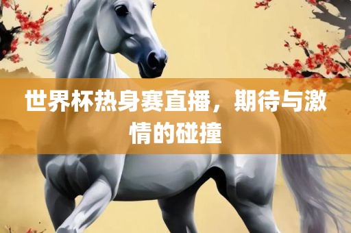 世界杯热身赛直播，期待与激情的碰撞