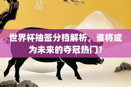 世界杯抽签分档解析，谁将成为未来的夺冠热门？