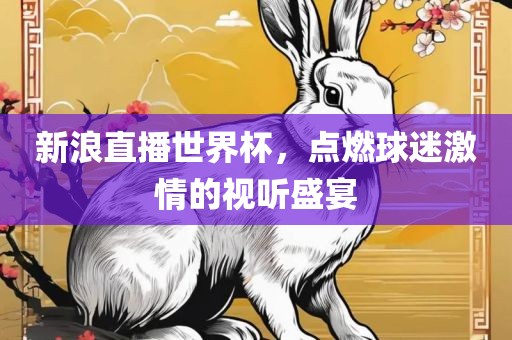 新浪直播世界杯，点燃球迷激情的视听盛宴