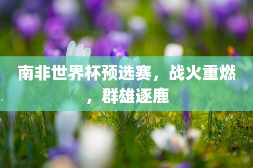 南非世界杯预选赛，战火重燃，群雄逐鹿